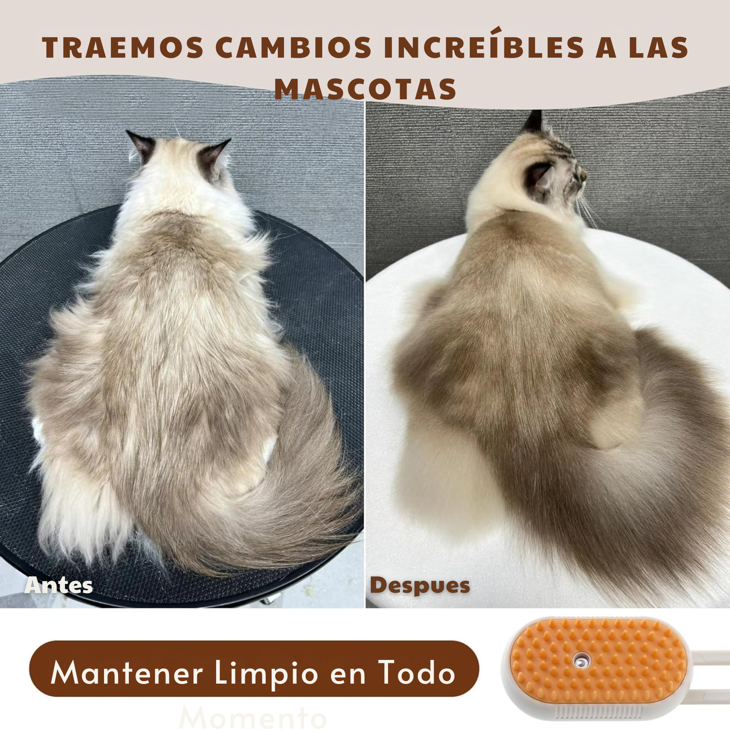 Cepillo de vapor 3 en 1 para perros y gatos